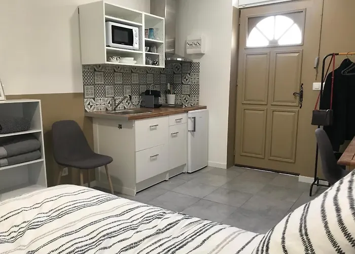 Studette De 17m2 Avec Parking Privé Gratuit Climatisation Et Petite Cuisine Maison d'hôtes