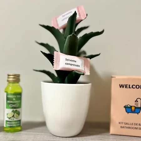 Studette De 17m2 Avec Parking Privé Gratuit Climatisation Et Petite Cuisine