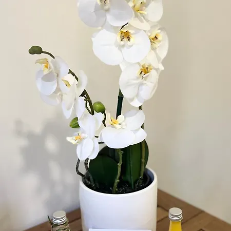 Studette De 17m2 Avec Parking Privé Gratuit Climatisation Et Petite Cuisine 4* Menton