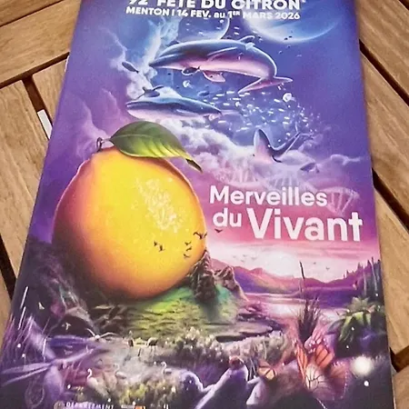 Studette De 17m2 Avec Parking Privé Gratuit Climatisation Et Petite Cuisine 4* Menton