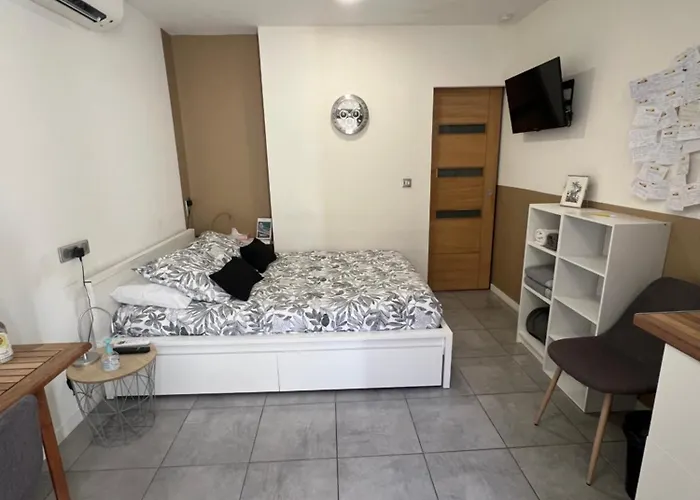 Studette De 17m2 Avec Parking Prive Gratuit Climatisation Et Petite Cuisine Pensionat 4*